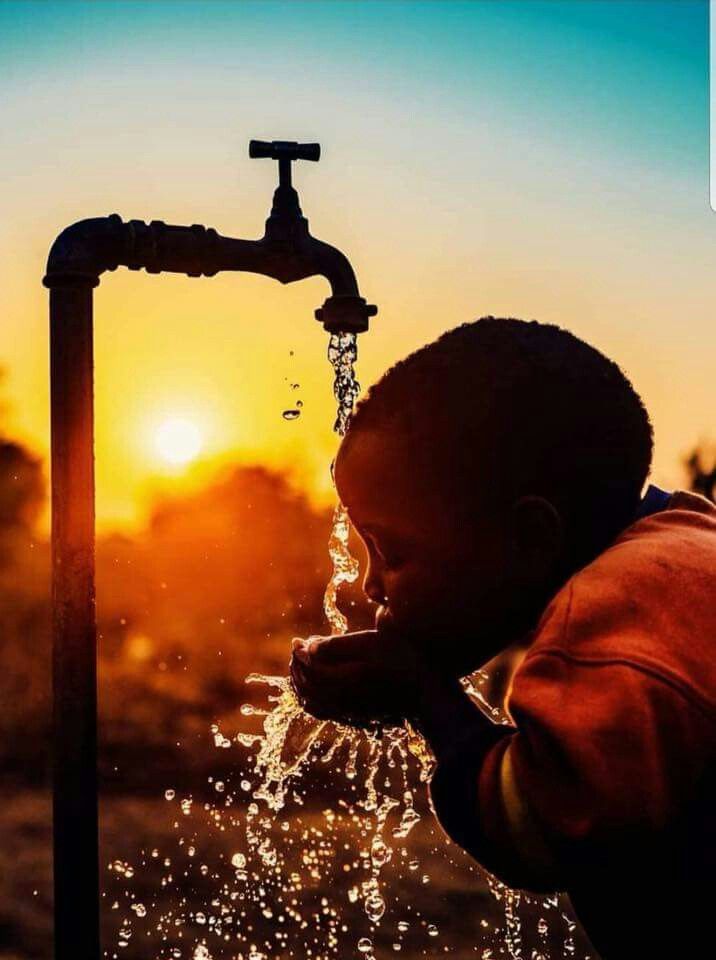 Why Water Is Essential for Health and Wellness