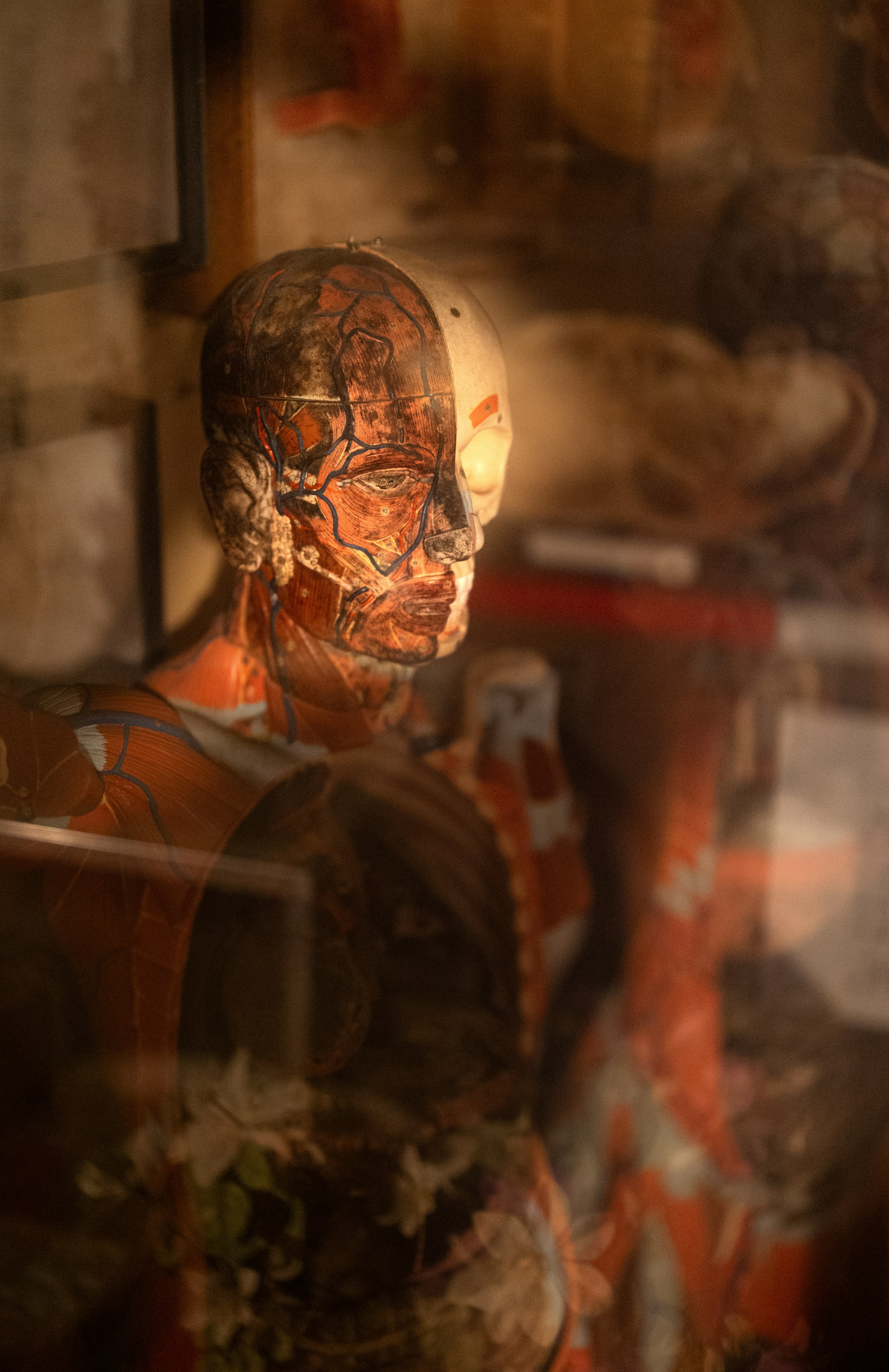 Microplastics and Cognitive Function