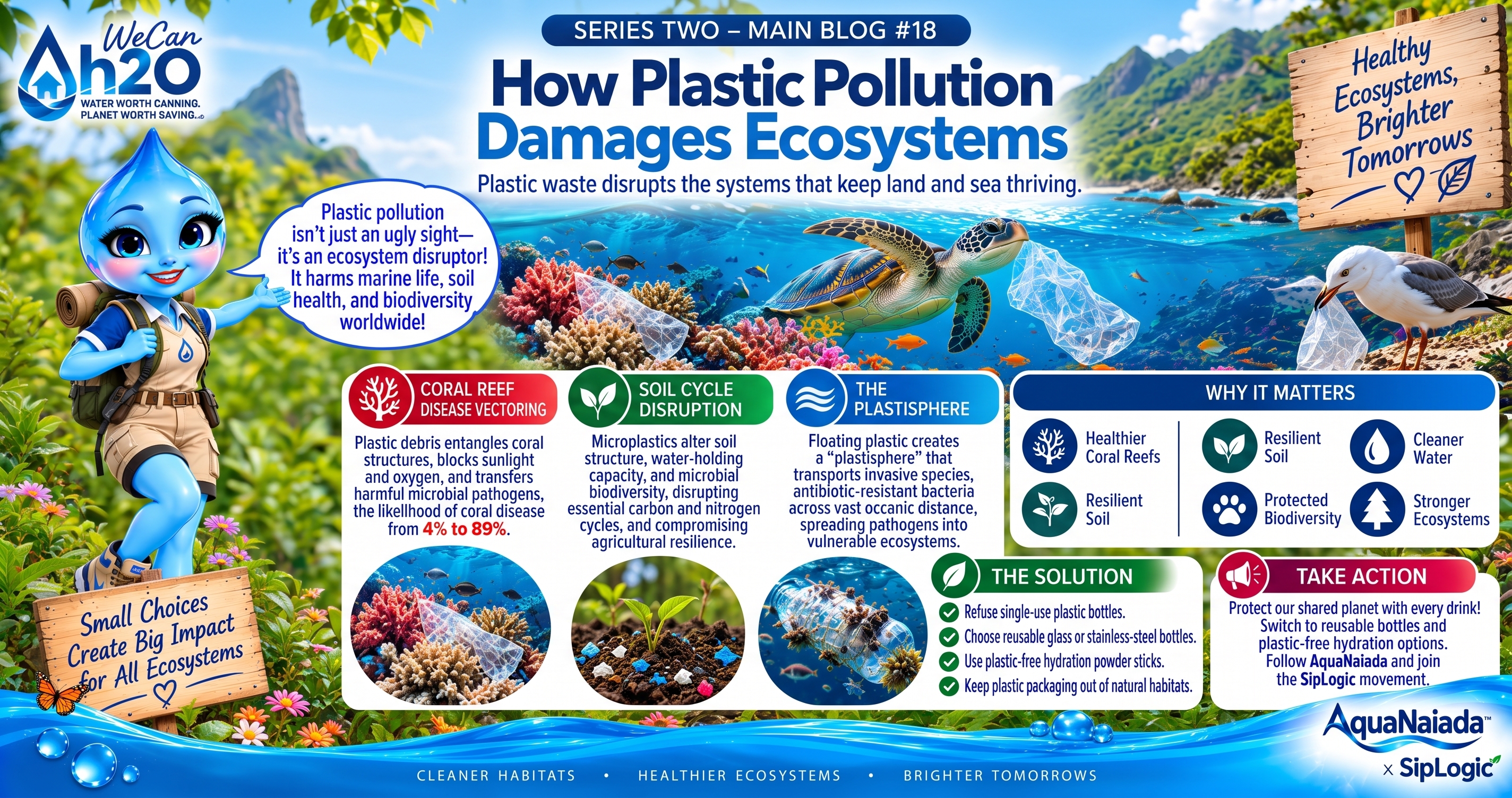 How Plastic Pollution Damages Ecosystems