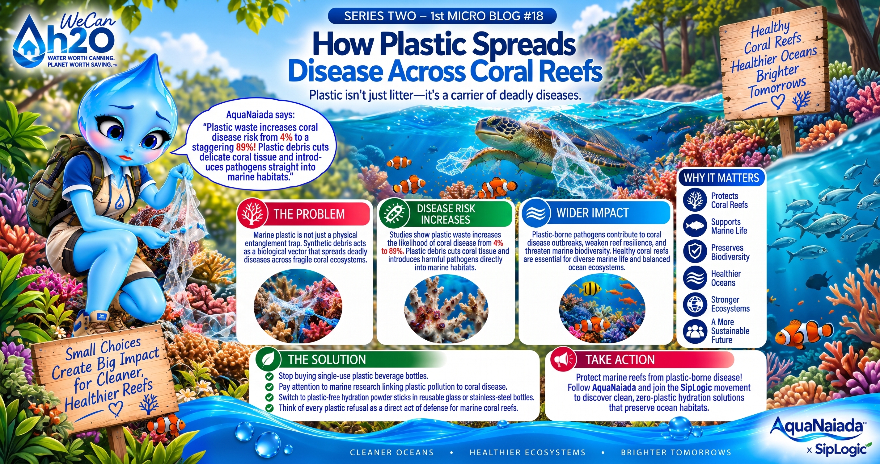 How Plastic Spreads Disease Across Coral Reefs