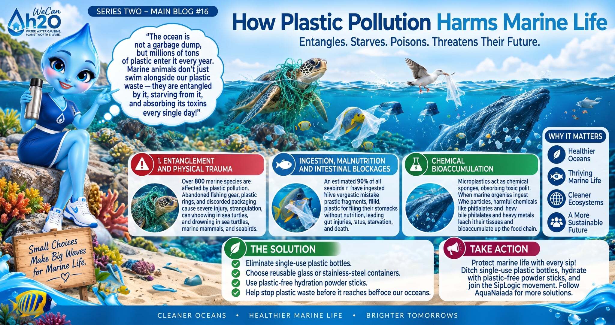 How Plastic Pollution Harms Marine Life How Plastic Pollution Harms Marine Life